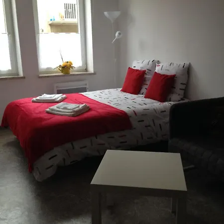 L'Acacia Apartment Forbach Room photo